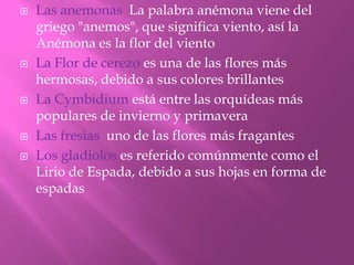 









Las anemonas La palabra anémona viene del
griego "anemos", que significa viento, así la
Anémona es la flor del viento
La Flor de cerezo es una de las flores más
hermosas, debido a sus colores brillantes
La Cymbidium está entre las orquídeas más
populares de invierno y primavera
Las fresias uno de las flores más fragantes
Los gladiolos es referido comúnmente como el
Lirio de Espada, debido a sus hojas en forma de
espadas

 
