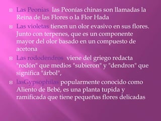 







Las Peonias las Peonías chinas son llamadas la
Reina de las Flores o la Flor Hada
Las violetas tienen un olor evasivo en sus flores.
Junto con terpenes, que es un componente
mayor del olor basado en un compuesto de
acetona
Las rododendros viene del griego redacta
"rodón" que medios "subieron" y "dendron" que
significa "árbol",
lasGypsophilas popularmente conocido como
Aliento de Bebé, es una planta tupida y
ramificada que tiene pequeñas flores delicadas

 