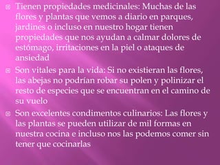 





Tienen propiedades medicinales: Muchas de las
flores y plantas que vemos a diario en parques,
jardines o incluso en nuestro hogar tienen
propiedades que nos ayudan a calmar dolores de
estómago, irritaciones en la piel o ataques de
ansiedad
Son vitales para la vida: Si no existieran las flores,
las abejas no podrían robar su polen y polinizar el
resto de especies que se encuentran en el camino de
su vuelo
Son excelentes condimentos culinarios: Las flores y
las plantas se pueden utilizar de mil formas en
nuestra cocina e incluso nos las podemos comer sin
tener que cocinarlas

 