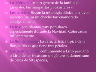 









Las Gerberas: es un género de la familia de
girasoles, las margaritas y los ásteres Los narcisos Según la mitología clásica, un joven
Narciso fue un muchacho tan enamorado
consigo mismo,
La iris: son plantas muy populares,
especialmente durante la Navidad. Coloreadas
brillantemente
La flor de pascua: La característica típica de la
flor de Iris es que tiene tres pétalos
Las Alstroemerias comúnmente a Lirio peruano
o Lirio de los incas son un género sudamericano
de cerca de 50 especies,

 