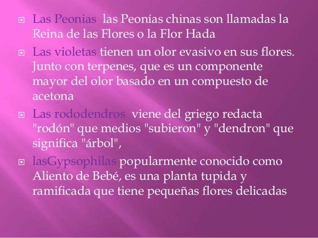 Flores Signo De Vida
