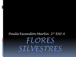 Flores silvestres Paula Escandón Martín  2º ESO A 