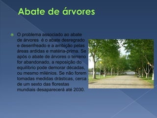 Abate de árvoresO problema associado ao abate de árvores  é o abate desregrado e desenfreado e a ambição pelas áreas ardidas e matéria-prima. Se após o abate de árvores o terreno for abandonado, a reposição do equilíbrio pode demorar décadas, ou mesmo milénios. Se não forem tomadas medidas drásticas, cerca de um sexto das florestas mundiais desaparecerá até 2030.