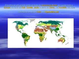 Encontra-se em grande parte do leste da  América do Norte , por quase toda a  Europa , no leste da  Ásia  ( Coréia ,  Japão  e parte da  China ), na  Austrália , na Nova Zelândia e ao sul do  Chile , no  Hemisfério Sul .        