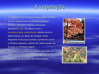 A vegetação A vegetação das florestas temperadas é variada. Embora predominem as árvores, existem também arbustos e plantas herbáceas. Aparecem  faias , carvalhos (como o  carvalho-roble ),  castanheiros , abetos (como o abeto branco ou abeto do Canadá, muito frequente na Europa Central) e pinheiros (como o Pinheiro silvestre, comum em vários países da Europa e o Pinheiro-negro).  Os abetos encontram-se preferencialmente em solos ricos e húmidos enquanto que os pinheiros, se encontram em solos pobres .  