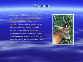 A fauna A fauna é variada, e podem encontrar-se  javalis ,  gatos bravos ,  linces ,  lobos ,  raposas , esquilos,  veados ,  ursos ,  martas , muitos insectos, répteis e aves diversas, algumas de grande porte (águia de asa redonda,  águia-real , ...). Aparecem ainda muitos invertebrados. A fauna também é variada, há muitos insectos, ursos, felinos, aves nocturnas, esquilos  