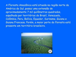 A Floresta Amazônica está situada na região norte da  América do Sul, possui uma extensão de  aproximadamente 7 mil quilômetros quadrados,  espalhada por territórios do Brasil, Venezuela,  Colômbia, Peru, Bolívia, Equador, Suriname, Guiana e  Guiana Francesa. Porém, a maior parte da floresta está  presente em território brasileiro. 