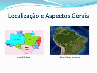 Localização e Aspectos Gerais<br />Amazônia Legal<br />Ecorregião da Amazônia<br />
