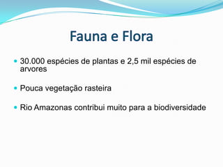 Fauna e Flora30.000 espécies de plantas e 2,5 mil espécies de arvores Pouca vegetação rasteiraRio Amazonas contribui muito para a biodiversidade