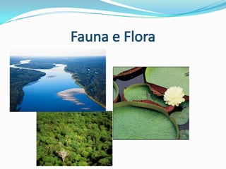 Fauna e Flora