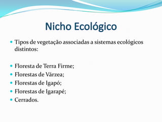 A maioria habita a copa das árvores.