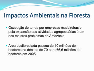 Nicho EcológicoCerrado: