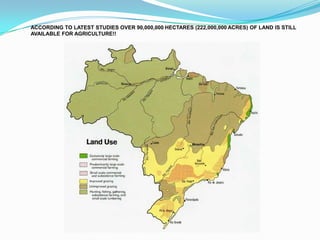 Grilagem e CybergrilagemFalsificação de documentos de terra para ocupação ilegal.Hoje em dia ocorre com maior frequência a cybergrilagem, isto é, a falsificação via internet.