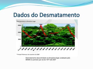 Grilagem e CybergrilagemFonte de pesquisa: http://www.imoveisvirtuais.com.br, http://www.mercadodeterras.com.br, http://www.souzafilhoimoveis.com.br, http://www.fazendas.e1.com.br, http://www.selocorretora.com.br, http://www.fazendasenegocios.hpg.ig.com.br, http://www.sofazenda.com.br.