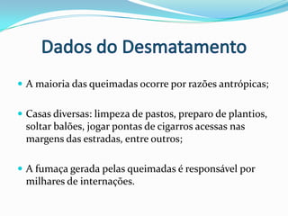 Madeireiras constroem quilômetros de estrada não oficiais em terras públicas;Os valores das multas ambientais são geralmente baixos;75 % da área desmatada na Amazônia é usada para pecuária - MMA (2007);Pastagens degradadas são convertidas em cultivos agrícolas.Dados do Desmatamento
