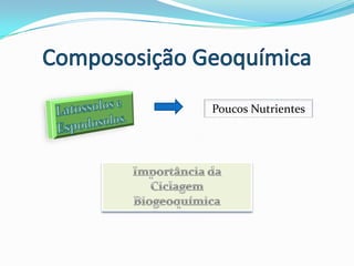 Compososição GeoquímicaLatossolos e Espodosolos.Poucos NutrientesImportância da Ciclagem Biogeoquímica