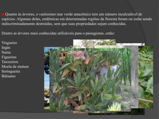  Brasil (AC, AP, AM, MT, PA, RO,                                                                   RR, TO e parte do estado do Maranhão).Clima O clima que se encontra na região desta floresta é o equatorial, controlado pela Massa Equatorial Continental. Este tipo de clima é  quente, pois está situada próximo a linha do equador e úmido por causa da umidade que a floresta passa para a atmosfera constantemente. Num dia típico na Floresta Amazônica, podemos encontrar muito calor durante o dia com chuvas fortes no final da tarde.As temperaturas elevadas variam pouco durante o ano, em torno de 25°C a 28°C.  Os índices pluviométricos (quantidade de chuvas) são elevados e bem distribuídos durante o ano com  2500 mm/ano. Amplitude térmica anual baixa, inferiores a 3°C. 