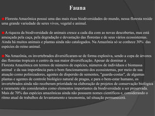   Mata de igapó      * Áreas baixas, próximas aos leitos dos rios, permanecendo inundadas durante quase o ano todo;      * As plantas apresentam estatura máxima de 20 metros com raízes adaptadas às regiões alagadas, além de cipós e plantas aquáticas;