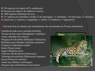 Mata de várzea * Áreas mais elevadas em relação a mata de igapó, mesmo assim sofre inundações, porém somente nos períodos de cheias;* As  árvores presentes possuem em média 20 metros de altura, sem contar com uma imensa quantidade de galhos repletos de espinhos;* Essa parte da floresta é de difícil acesso por ser muito fechada;* Destaque para as seringueiras das quais se extrai o látex para a fabricação da borracha.