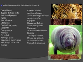  Mata de terra firme* Ocorre nas regiões que não sofrem inundações;* As árvores apresentam alturas que oscilam entre 30 e 60 metros e se desenvolvem com distâncias restritas entre si;* Com as árvores são muito altas e suas copas acabam ficando juntas isso impede a penetração da luz solar no solo causando dificuldades para plantas menores fazendo com que nesta região quase não exista;* Esta região sofre fortes alterações por causa da atividade madeireira.