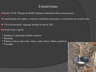 Rubiácea Essa flora herbácea além do aspecto ornamental, seja pela forma ou pelo colorido da inflorescência, desempenha vital função no equilíbrio do ecossistema. Como exemplo, temos as helicônias, com uma grande variedade de espécies com coloridas inflorescências. São de presença marcante nas nossas matas úmidas e tem uma importante função no equilíbrio ecológico.