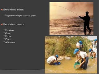  Quanto às árvores, o vastíssimo mar verde amazônico tem um número incalculável de espécies. Algumas delas, endêmicas em determinadas regiões da floresta foram ou estão sendo indiscriminadamente destruídas, sem que suas propriedades sejam conhecidas.Dentre as árvores mais conhecidas utilizáveis para o paisagismo, estão:VisgueiroIngásSumaFigueirasTaxizeirosMoela de mutumSeringueiraBálsamo