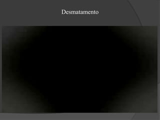 Fauna Floresta Amazônica possui uma das mais ricas biodiversidades do mundo, nessa floresta reside uma grande variedade de seres vivos, vegetal e animal. A riqueza da biodiversidade de animais cresce a cada dia com as novas descobertas, mas está ameaçada pela caça, pela degradação e devastação das florestas e de seus vários ecossistemas. Ainda há muitos animais e plantas ainda não catalogados. Na Amazônia só se conhece 30%  das espécies do reino animal. Na Amazônia, os invertebrados diversificaram-se de forma explosiva, sendo a copa de árvores das florestas tropicais o centro da sua maior diversificação. Apesar de dominar a Floresta Amazônica em termos de números de espécies, números de indivíduos e biomassa animal  e da sua importância para o bom funcionamento dos ecossistemas, por meio de sua atuação como polinizadores, agentes de dispersão de sementes, "guarda-costas", de algumas plantas e agentes de controle biológico natural de pragas, e para o bem-estar humano, os invertebrados ainda não receberam prioridade na elaboração de projetos de conservação biológica e raramente são considerados como elementos importantes da biodiversidade a ser preservada. Mais de 70% das espécies amazônicas ainda não possuem nomes científicos e, considerando o ritmo atual de trabalhos de levantamento e taxonomia, tal situação permanecerá.