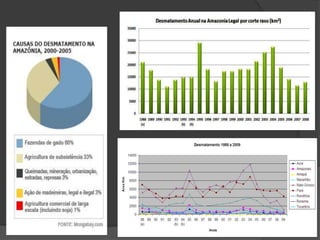  550 espécies de repteis (62% endêmicas);