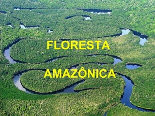 FLORESTA

AMAZÔNICA
 