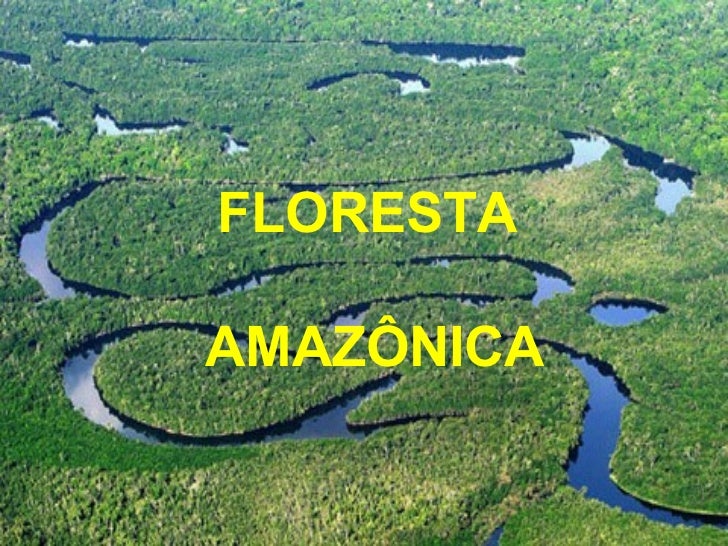 Floresta Amazonica