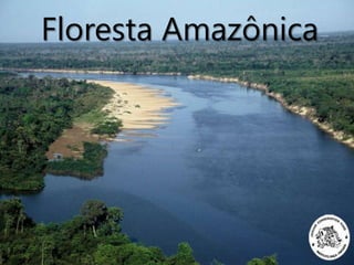 Floresta Amazônica
 