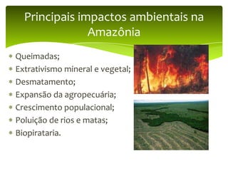 Principais impactos ambientais na
Amazônia
Queimadas;
Extrativismo mineral e vegetal;
Desmatamento;
Expansão da agropecuária;
Crescimento populacional;
Poluição de rios e matas;
Biopirataria.

 