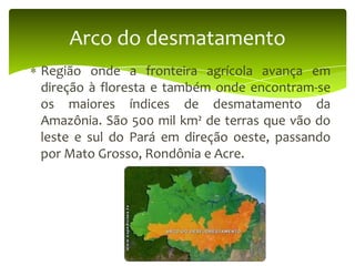 Arco do desmatamento
Região onde a fronteira agrícola avança em
direção à floresta e também onde encontram-se
os maiores índices de desmatamento da
Amazônia. São 500 mil km² de terras que vão do
leste e sul do Pará em direção oeste, passando
por Mato Grosso, Rondônia e Acre.

 