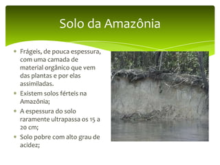 Solo da Amazônia
Frágeis, de pouca espessura,
com uma camada de
material orgânico que vem
das plantas e por elas
assimiladas.
Existem solos férteis na
Amazônia;
A espessura do solo
raramente ultrapassa os 15 a
20 cm;
Solo pobre com alto grau de
acidez;

 