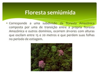Floresta semiúmida
Corresponde a uma subdivisão da floresta Amazônica
composta por uma de transição entre a própria floresta
Amazônica e outros domínios, ocorrem árvores com alturas
que oscilam entre 15 e 20 metros e que perdem suas folhas
no período de estiagem.

 