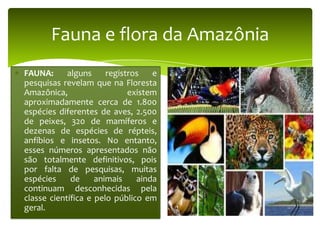Fauna e flora da Amazônia
FAUNA:
alguns
registros
e
pesquisas revelam que na Floresta
Amazônica,
existem
aproximadamente cerca de 1.800
espécies diferentes de aves, 2.500
de peixes, 320 de mamíferos e
dezenas de espécies de répteis,
anfíbios e insetos. No entanto,
esses números apresentados não
são totalmente definitivos, pois
por falta de pesquisas, muitas
espécies
de
animais
ainda
continuam desconhecidas pela
classe científica e pelo público em
geral.

 