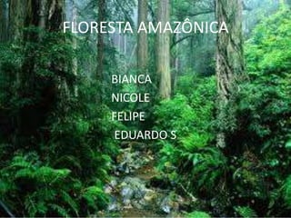 FLORESTA AMAZÔNICA
BIANCA
NICOLE
FELIPE
EDUARDO S
 