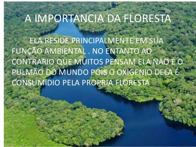 Floresta Amazônica: Características E Importância – LJXNRW