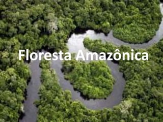 Floresta Amazônica
 