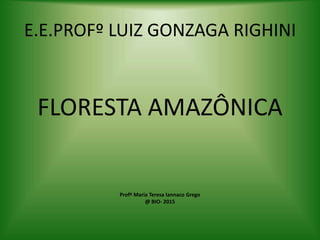 E.E.PROFº LUIZ GONZAGA RIGHINI
FLORESTA AMAZÔNICA
Profª Maria Teresa Iannaco Grego
@ BIO- 2015
 