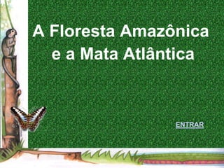 A Floresta Amazônica
  e a Mata Atlântica


                ENTRAR
 