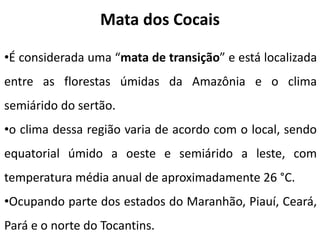 Mata dos Cocais
•É considerada uma “mata de transição” e está localizada
entre as florestas úmidas da Amazônia e o clima
semiárido do sertão.
•o clima dessa região varia de acordo com o local, sendo
equatorial úmido a oeste e semiárido a leste, com
temperatura média anual de aproximadamente 26 °C.
•Ocupando parte dos estados do Maranhão, Piauí, Ceará,
Pará e o norte do Tocantins.
 
