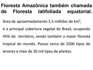 Floresta Amazônica também chamada
de Floresta latifoliada equatorial.
Área de aproximadamente 5,5 milhões de km²,
é a principal cobertura vegetal do Brasil, ocupando
45% do território, sendo também a maior floresta
tropical do mundo. Possui cerca de 2500 tipos de
árvores e mais de 30 mil tipos de plantas.
 
