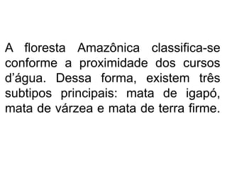A floresta Amazônica classifica-se
conforme a proximidade dos cursos
d’água. Dessa forma, existem três
subtipos principais: mata de igapó,
mata de várzea e mata de terra firme.
 