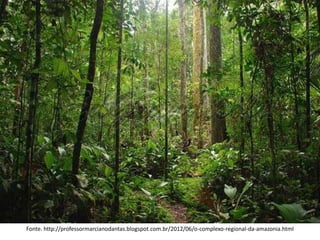 Fonte. http://professormarcianodantas.blogspot.com.br/2012/06/o-complexo-regional-da-amazonia.html
 