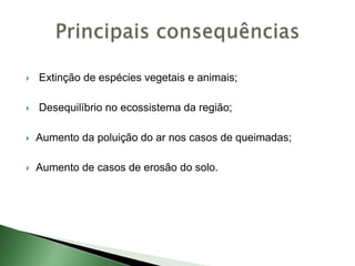  Extinção de espécies vegetais e animais;
 Desequilíbrio no ecossistema da região;
 Aumento da poluição do ar nos casos de queimadas;
 Aumento de casos de erosão do solo.
 