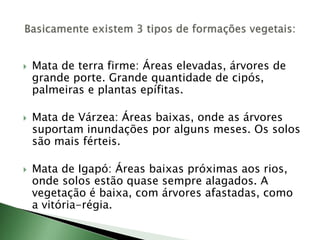  Mata de terra firme: Áreas elevadas, árvores de
grande porte. Grande quantidade de cipós,
palmeiras e plantas epífitas.
 Mata de Várzea: Áreas baixas, onde as árvores
suportam inundações por alguns meses. Os solos
são mais férteis.
 Mata de Igapó: Áreas baixas próximas aos rios,
onde solos estão quase sempre alagados. A
vegetação é baixa, com árvores afastadas, como
a vitória-régia.
 