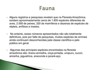  Alguns registros e pesquisas revelam que na Floresta Amazônica,
existem aproximadamente cerca de 1.800 espécies diferentes de
aves, 2.500 de peixes, 320 de mamíferos e dezenas de espécies de
répteis, anfíbios e insetos.
 No entanto, esses números apresentados não são totalmente
definitivos, pois por falta de pesquisas, muitas espécies de animais
ainda continuam desconhecidas pela classe científica e pelo
público em geral.
 Algumas das principais espécies encontradas na floresta
amazônica são: Arara-vermelha, onça-pintada, uirapuru, sucuri,
ariranha, jaguatirica, anaconda e jacaré-açú.
 