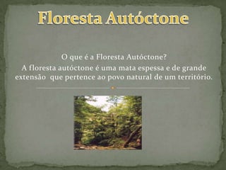 Floresta Autóctone O que é a Floresta Autóctone? A floresta autóctone é uma mata espessa e de grande extensão  que pertence ao povo natural de um território. 
