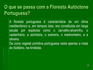 10O que se passa com a Floresta Autóctone Portuguesa?A floresta portuguesa é característica de um clima mediterrânico e, em tempos idos, era constituída em larga escala por espécies como o carvalho-alvarinho, o castanheiro, a azinheira, o sobreiro, o medronheiro, e a oliveira. Da zona vegetal primitiva portuguesa resta apenas a mata do Solitário, na Arrábida.